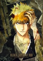 Bleach___________503dd7b648378.jpg